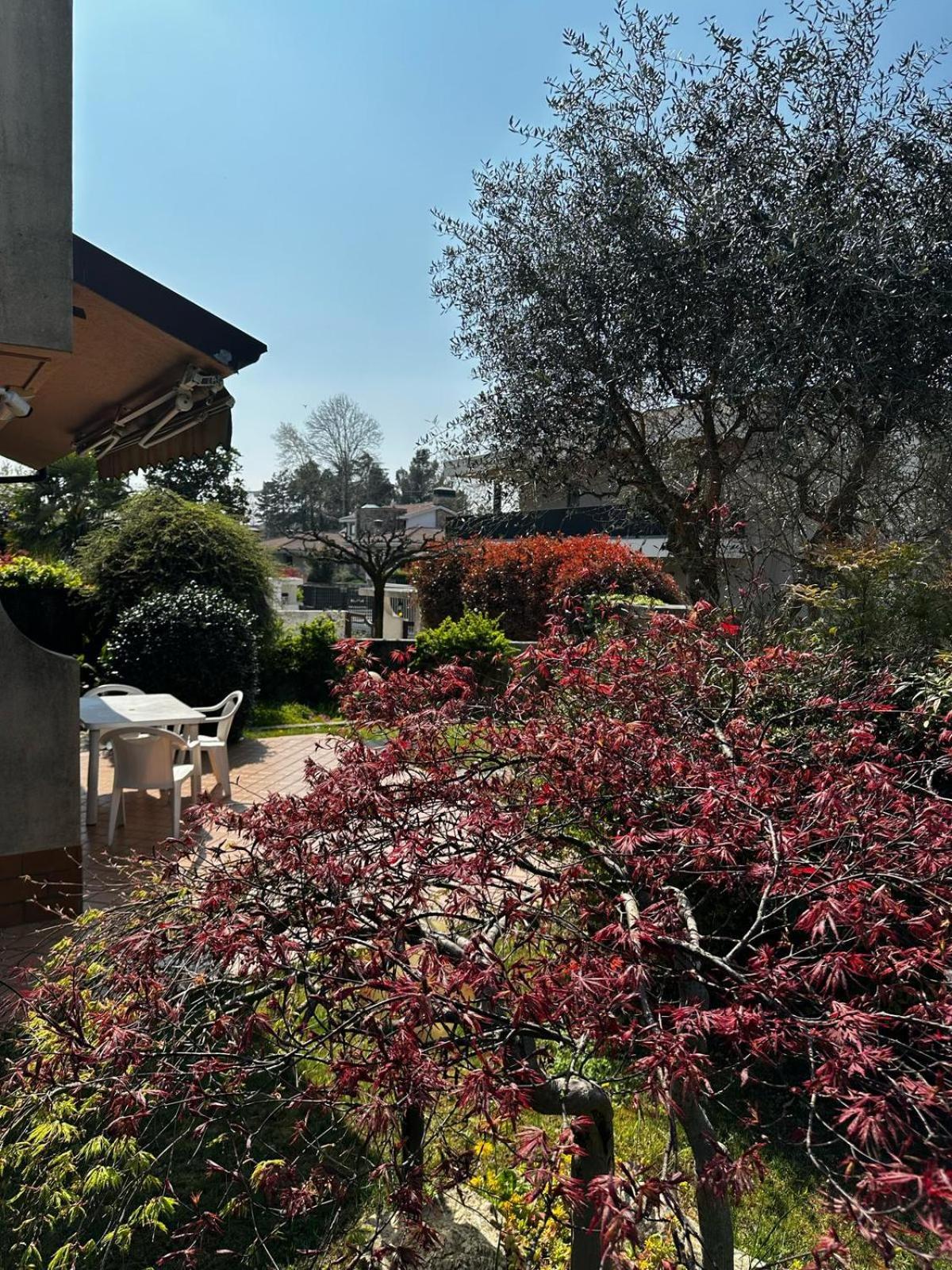 Villa Luisa Gorle Exterior foto